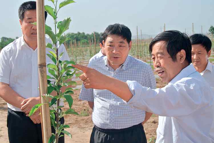 2012矮砧调研及千阳站照片6 032.jpg