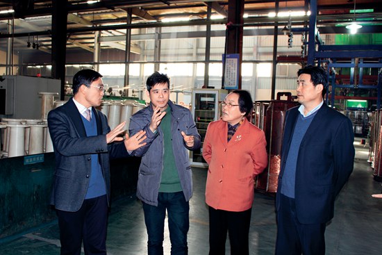 中国工程院院士邱爱慈考察南浔区浙江长城电工科技股份有限公司.jpg