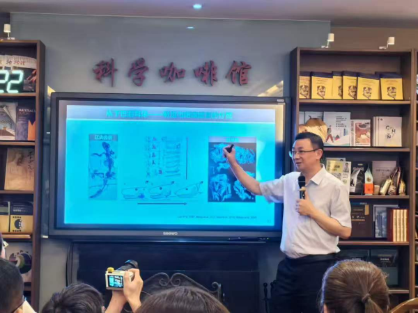 图片1_副本.png