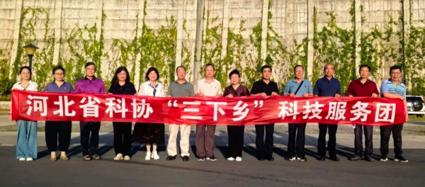 图片17_副本.png