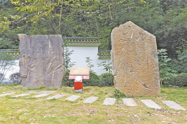 5_副本.jpg
